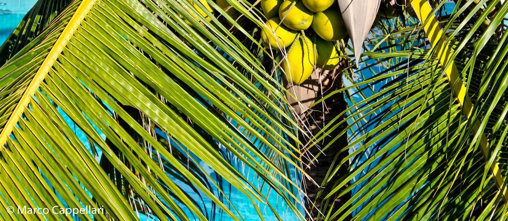 Hotel & Pousada Tatajuba Canoa Quebrada Kültér fotó